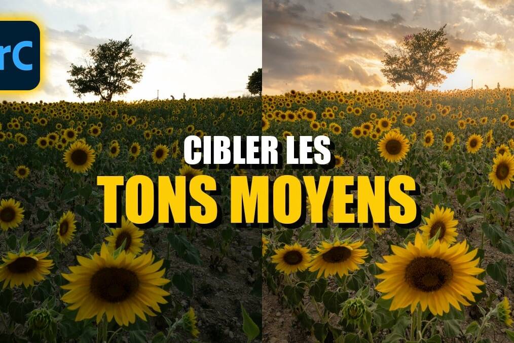 cibler-tons-moyens-lightroom