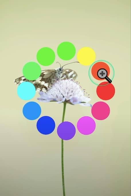 Roue chromatique pour déterminer couleur de fond