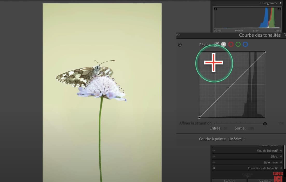 Courbe des tonalités sur Lightroom