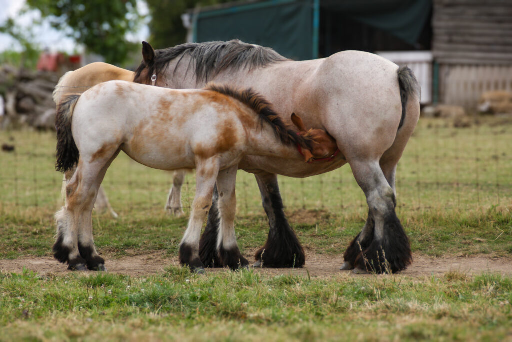 Douceur et tendresse : un moment de vie