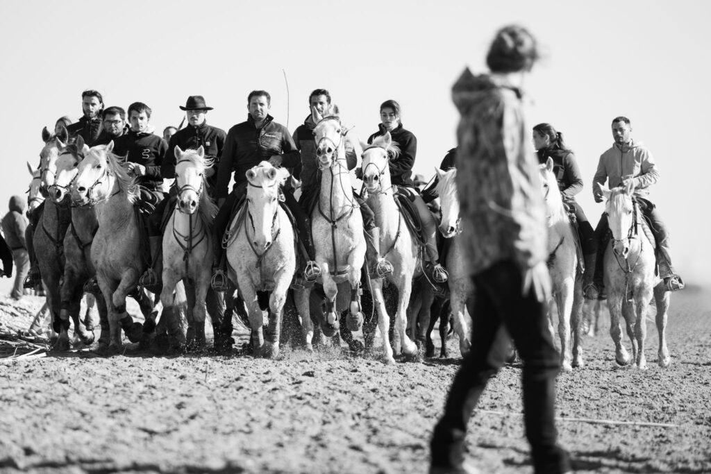 L'Abrivado Novembre 2024 aux Saintes Marie de la Mer