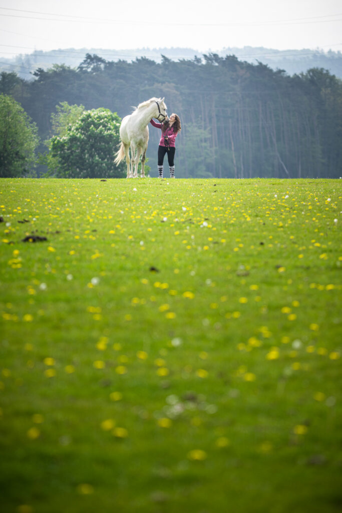 Dans la prairie étoilée