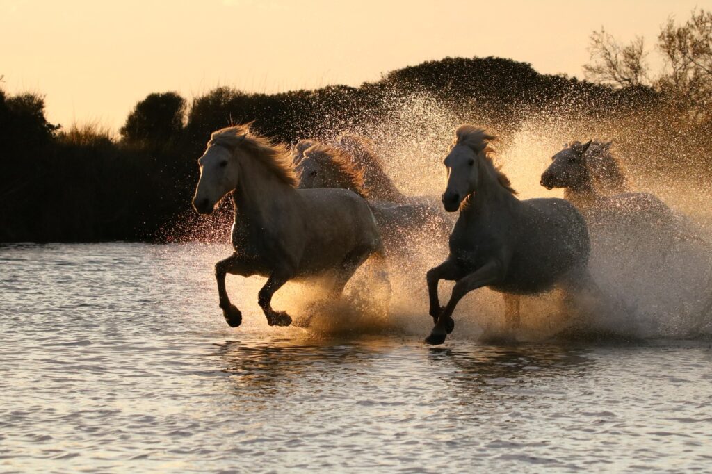 Liberté au crépuscule