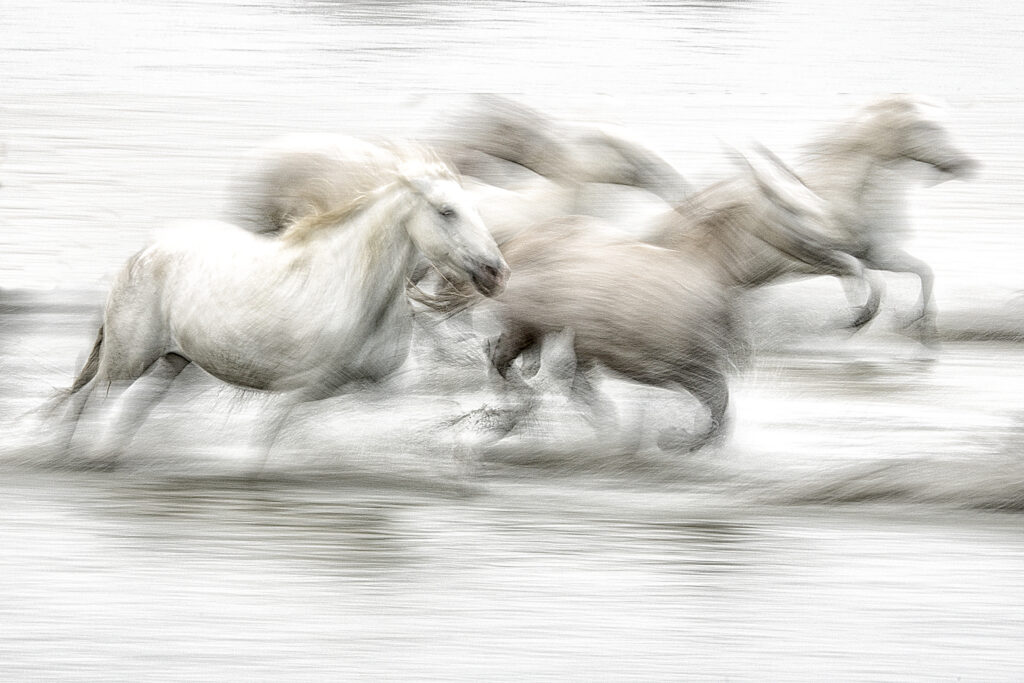 " ...tous derriere et lui...devant..."