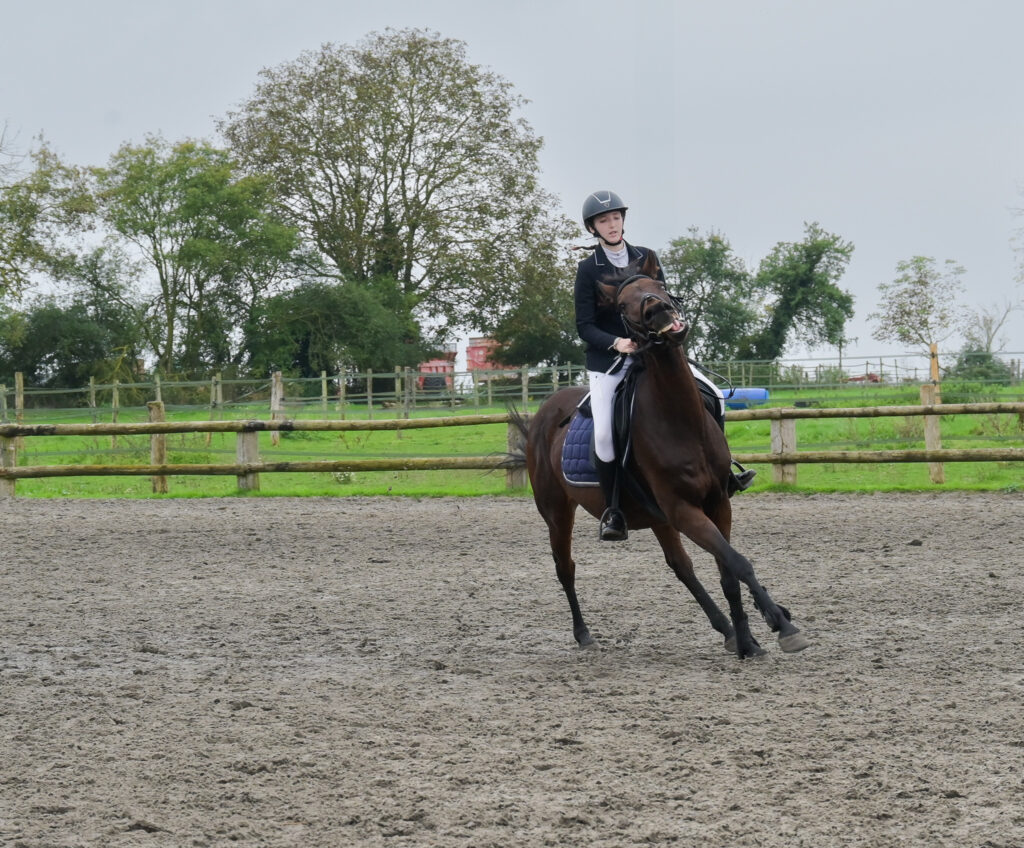 concours Équitation