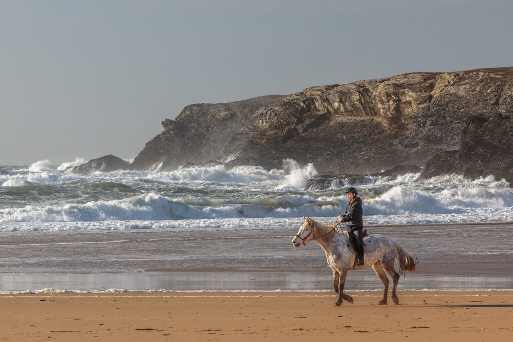 cheval à la plage