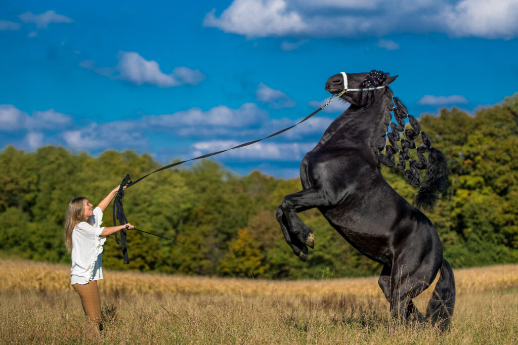 Entrainement Tornado ;-)