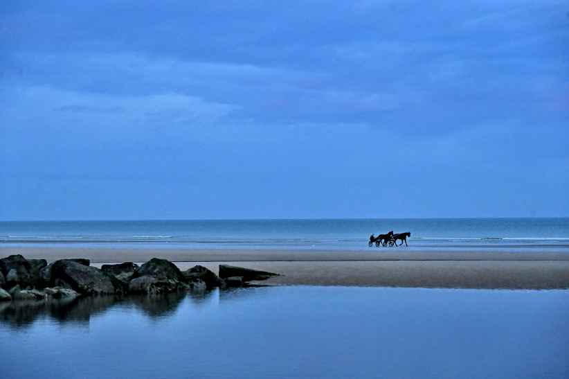 Sur la plage...au loin