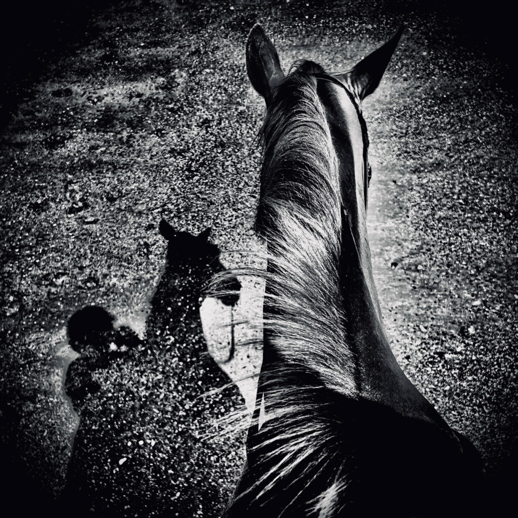 Chevauchée fantastique