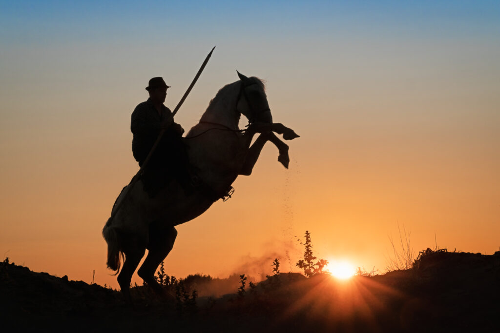 Danse avec le Soleil : une quête d'harmonie cosmique.
