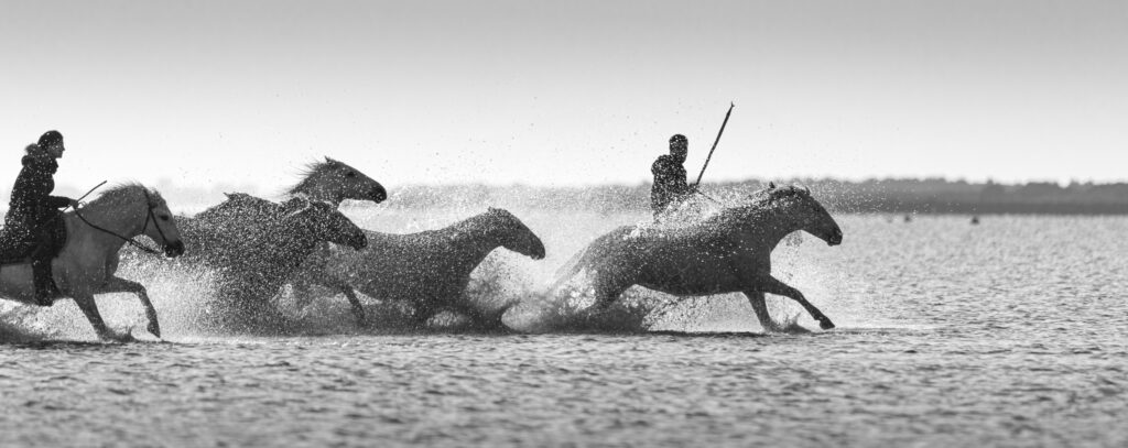 Les Cavaliers Fantômes de Camargue