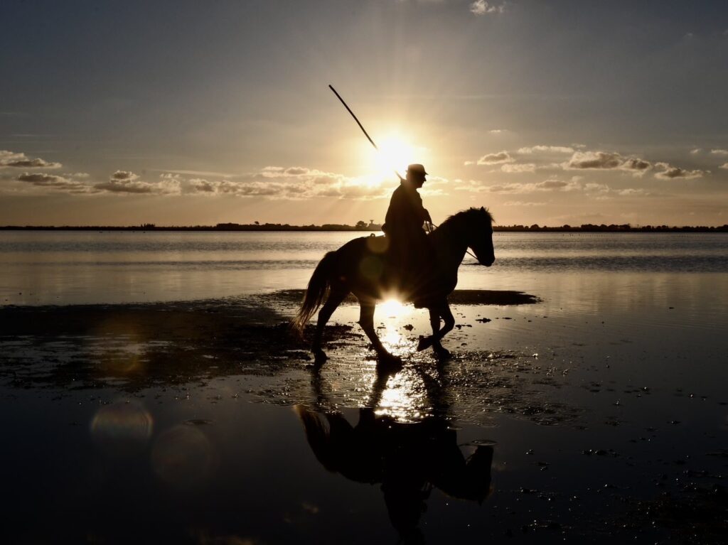 Un soir en Camargue !