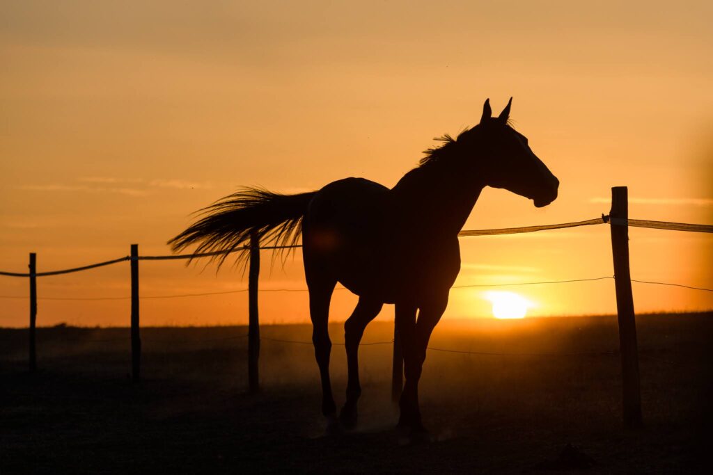Soir d'été à Mézu