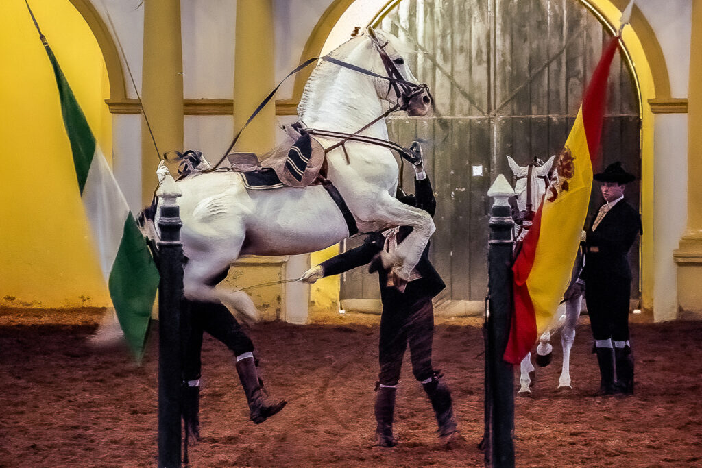 Cabriole à l'École Royale Andalouse d'Art Équestre, située à Jerez de la Frontera