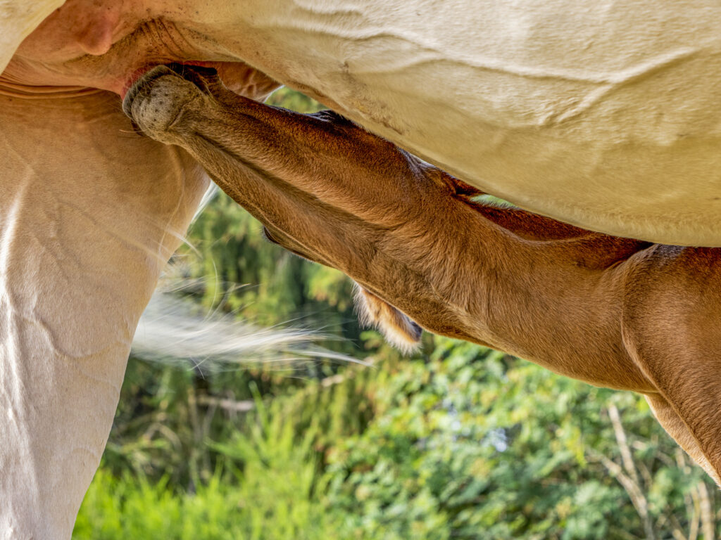 C'est l'heure du goûter !