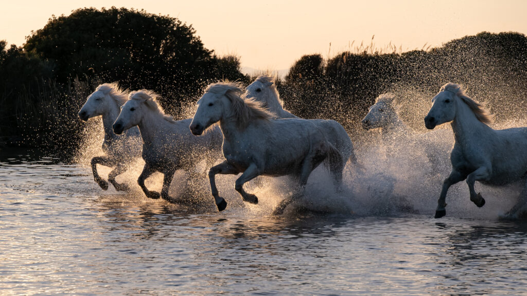 La chevauchée fantastique