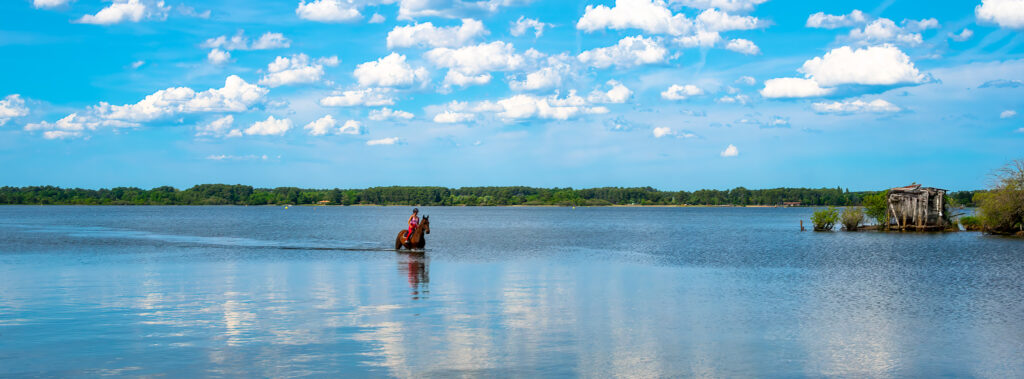 Promenade dans l'étang d'Aureilhan