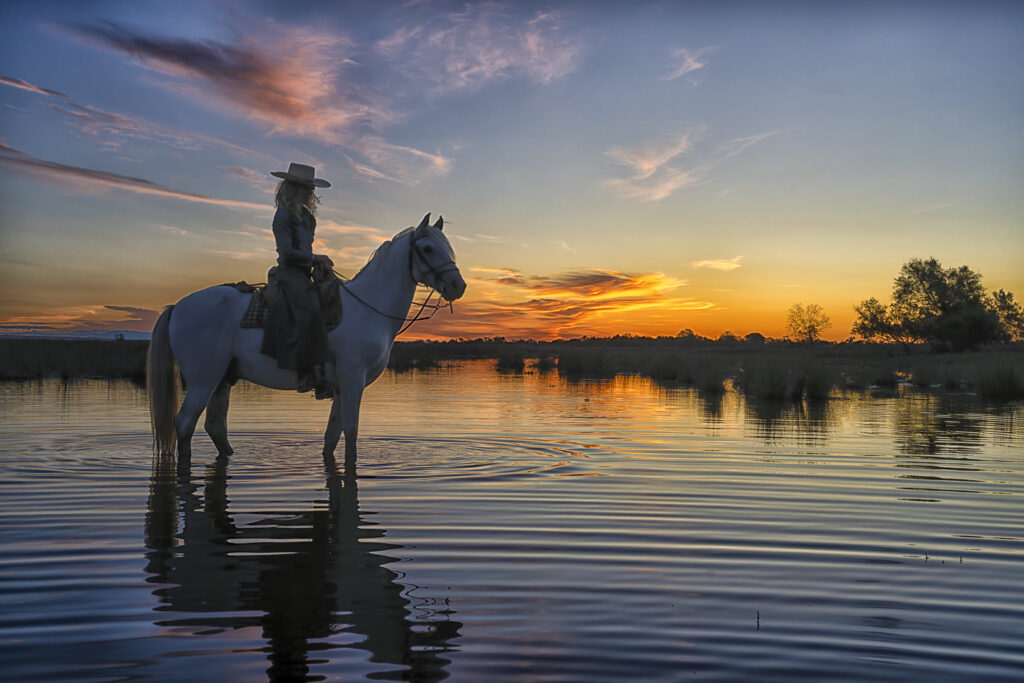 Gardiane solitaire au petit matin