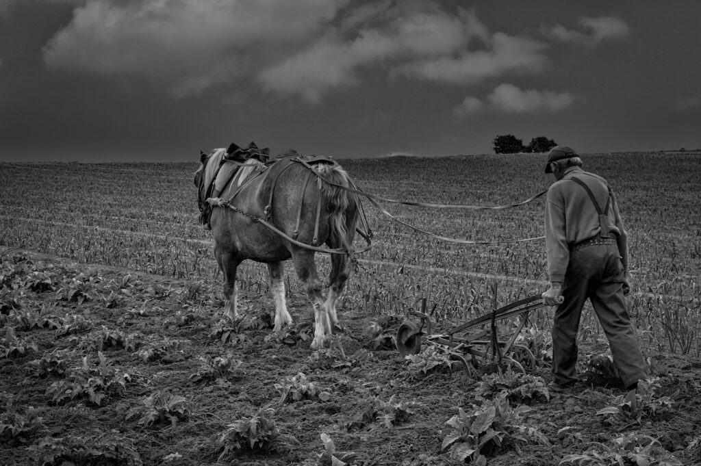 labeur Paysan, haut Léon Finistère