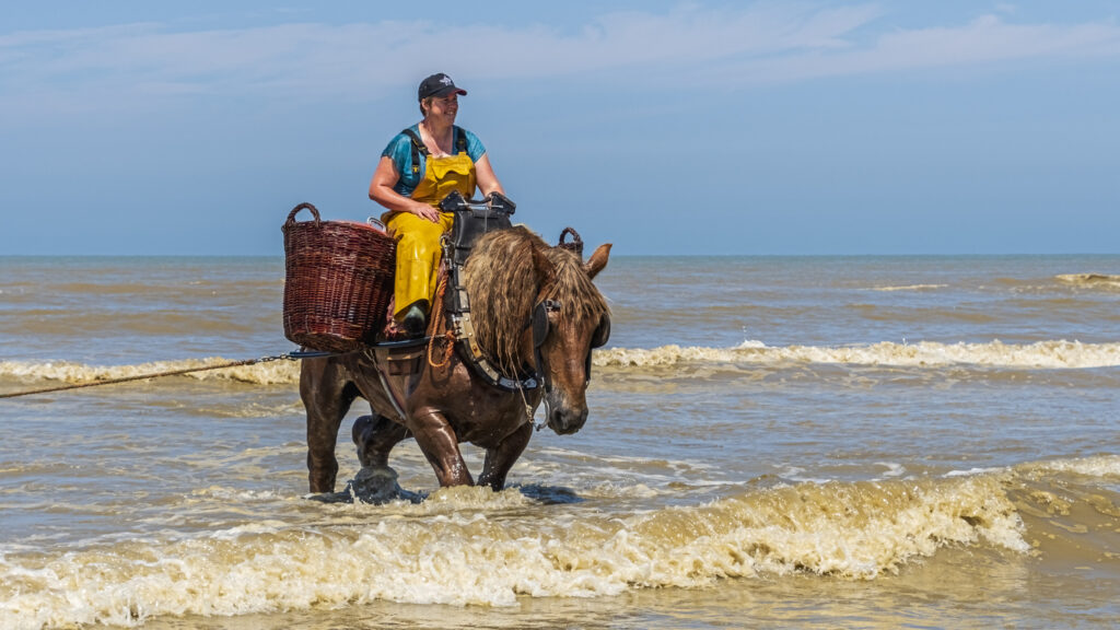 Pécheurs de crevettes