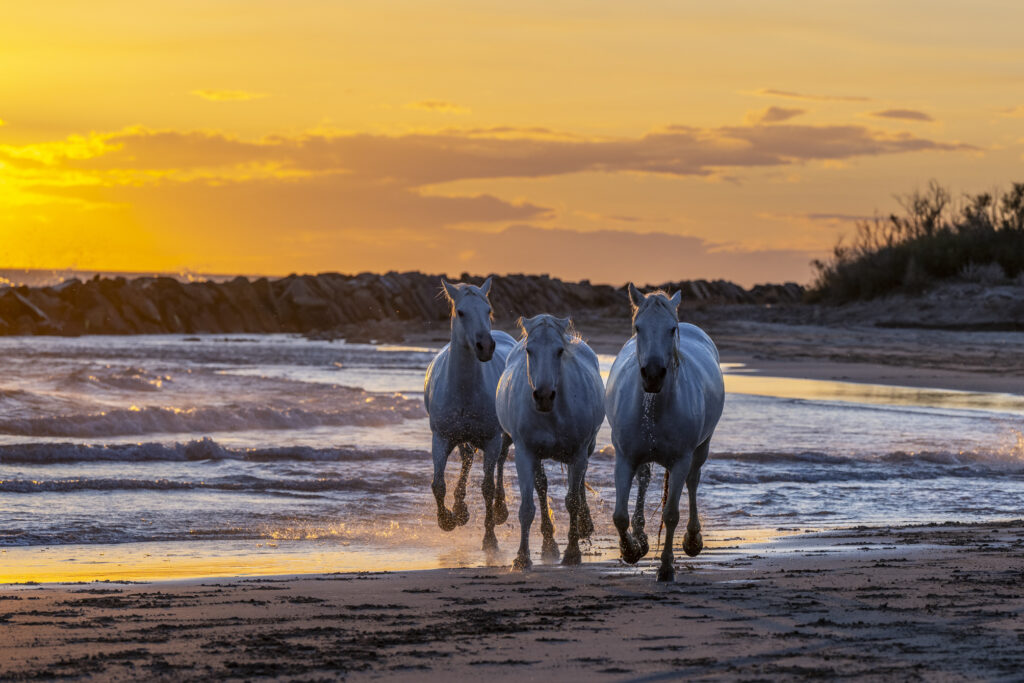 Trio coucher du soleil