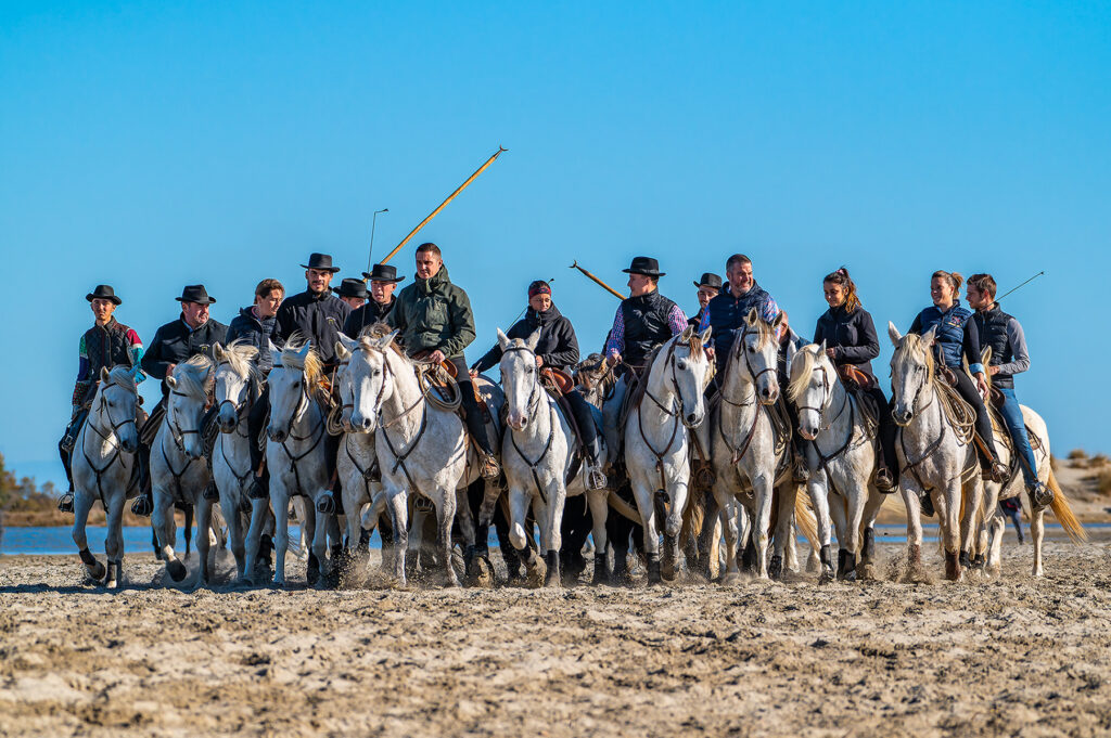 Abrivados aux Saintes-Maries-de-la-mer