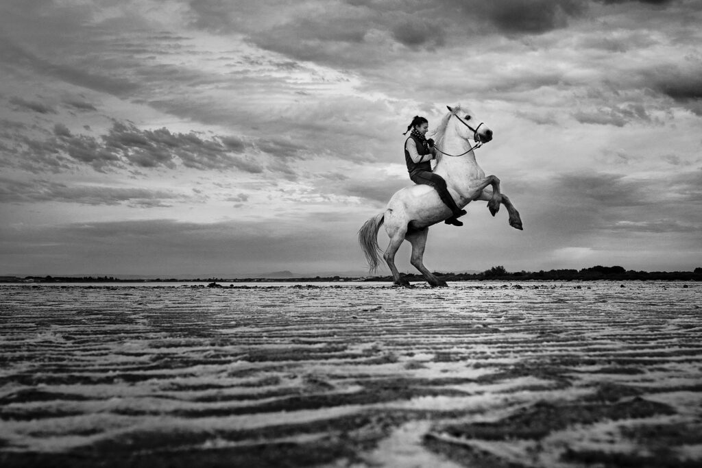 Liberté sauvage sur les terres salées