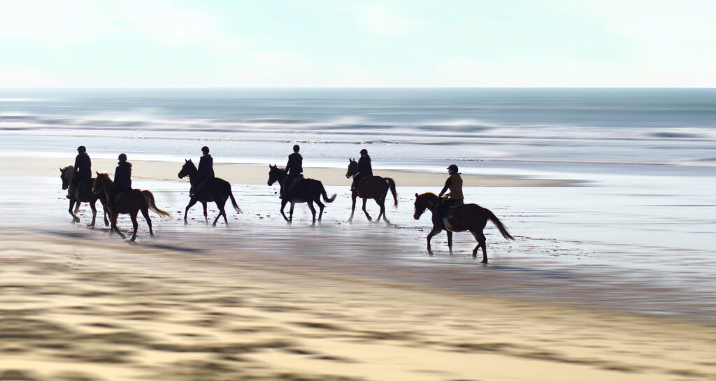 Harmonie entre chevaux et océan