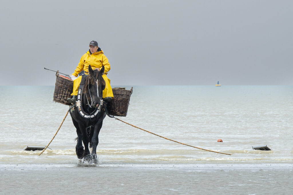 Pêcheurs à cheval - Oostduinkerke - Belgique