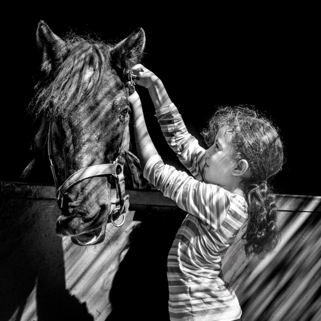 Le poney qu'aurait bien voulu être un zèbre.