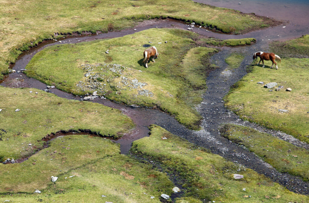 Deux bijoux sur la terre