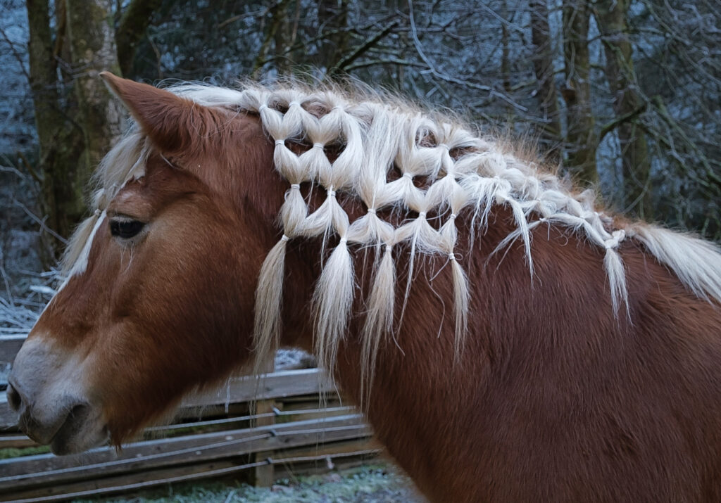 Prête pour le concours de beauté ...