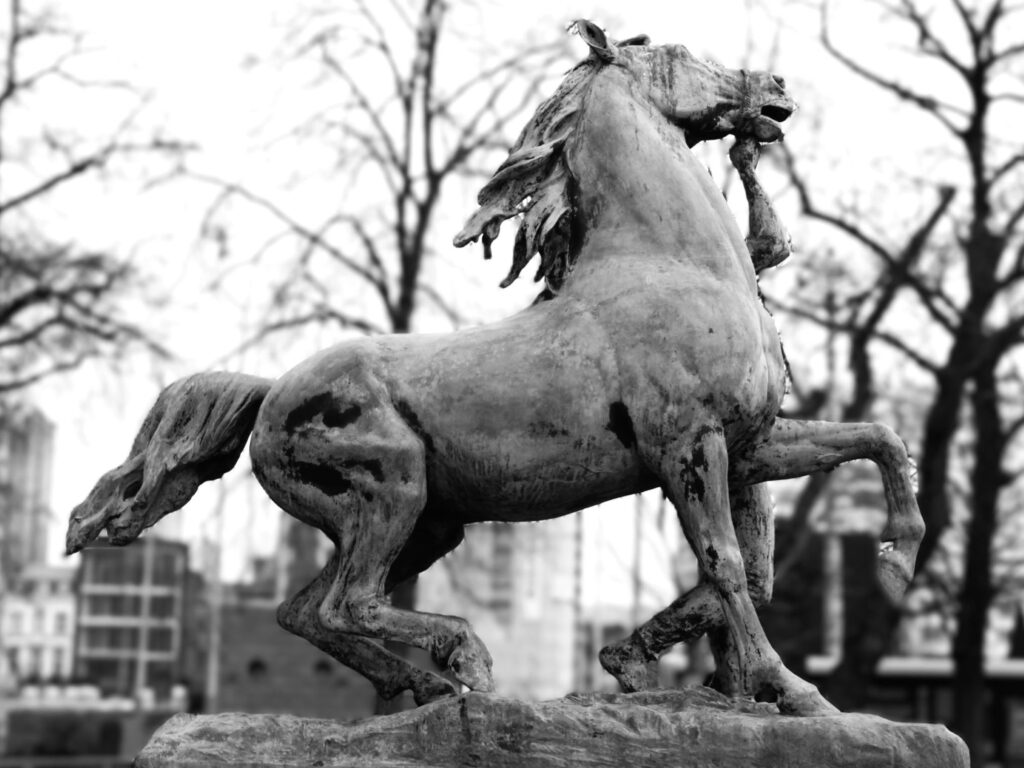 Un ancien à Liège (Belgique)