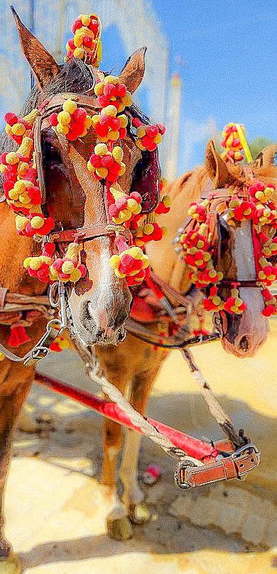 Feria del cavallo de Jerez