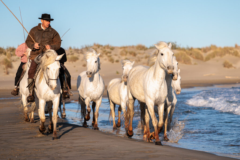 Promenade dans les salins