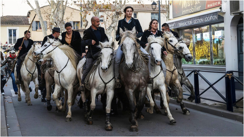 Abrivado Aigues Mortes
