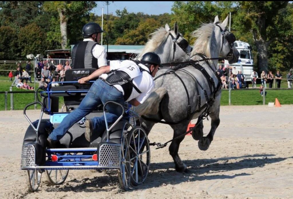 Championnat de France du Percheron.