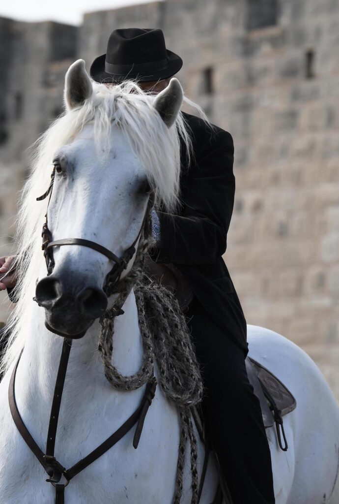 travail et tradition