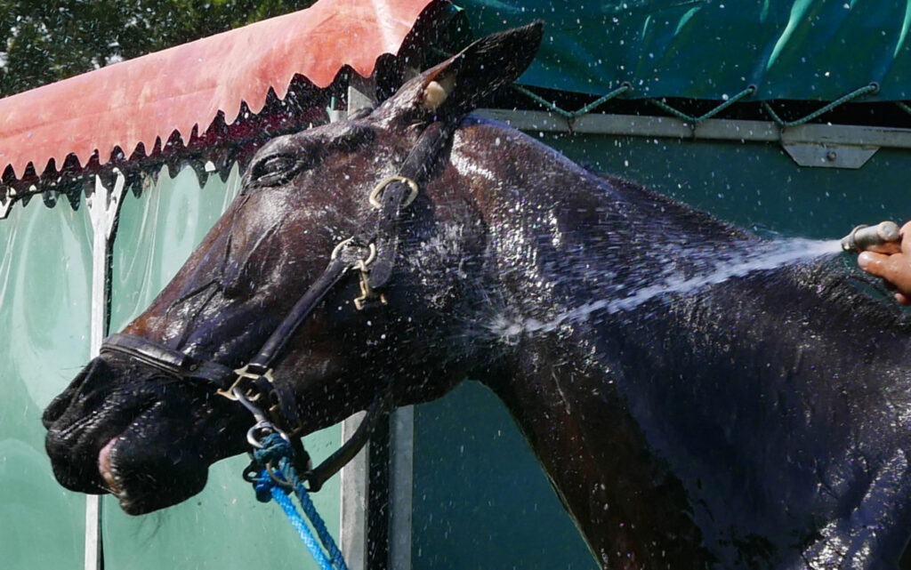douche après l'effort