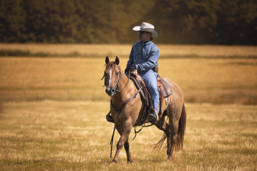 Dans la peau d'un cow boy