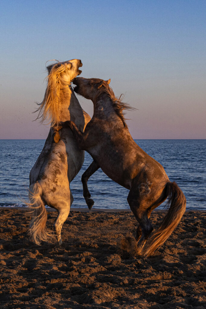 Jeux sur la plage à la fin de la journée