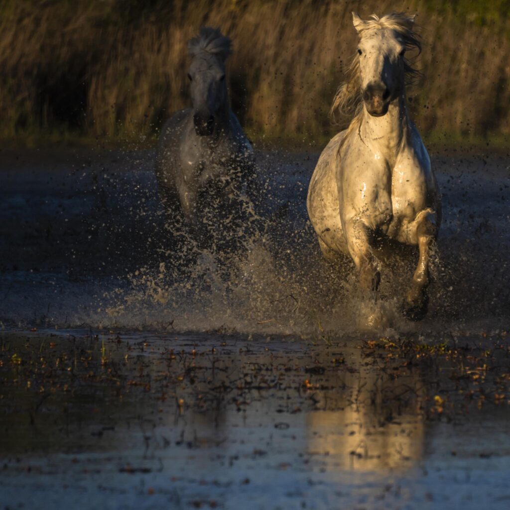 De l' ombre à la lumière