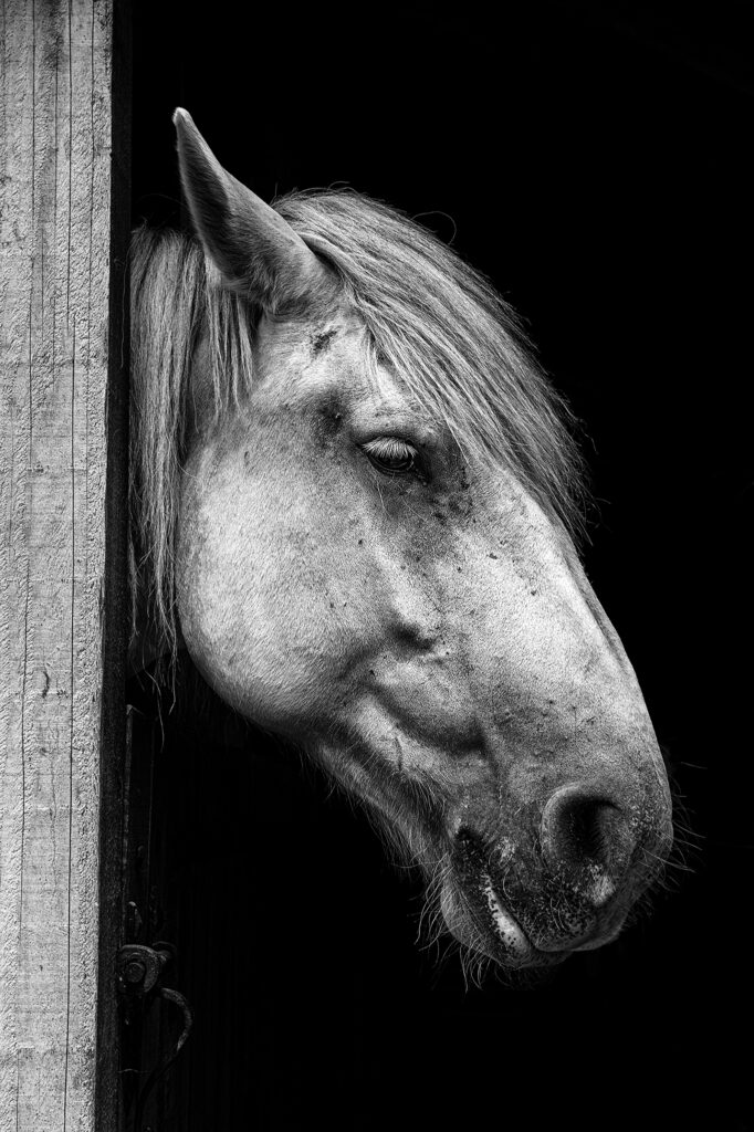 Quelqu'un s'intéresse à moi