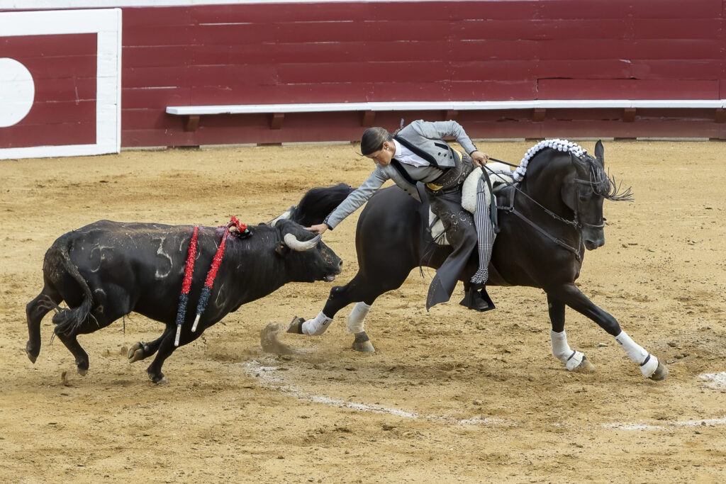 Entente parfaite entre le cheval et sa cavalière