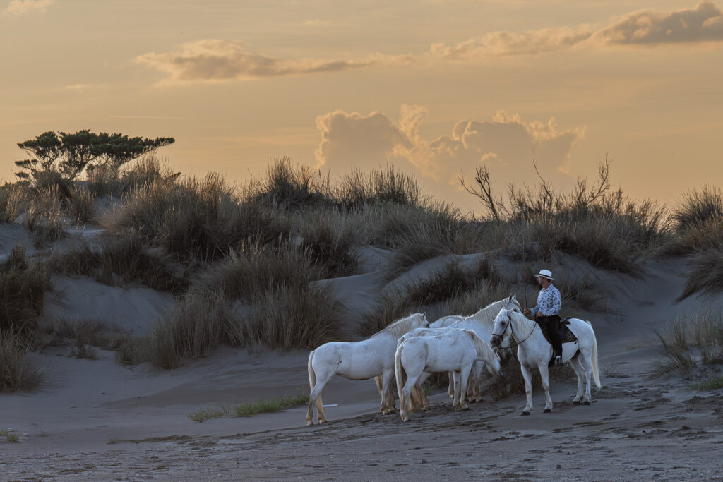 Avant que le soleil ne se couche en Camargue