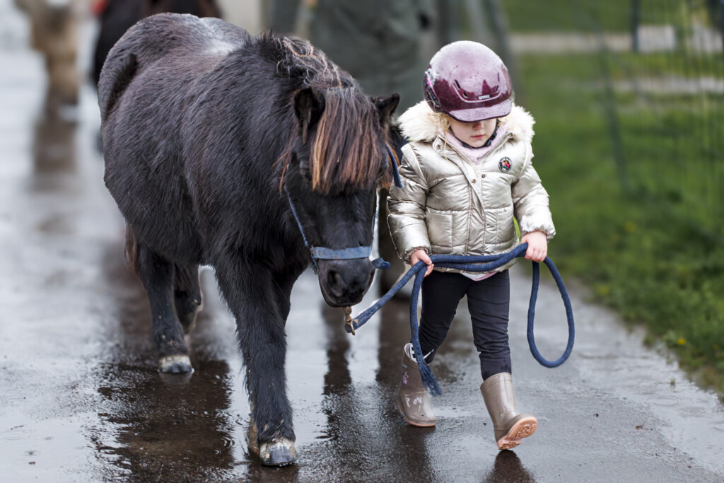 Fin de séance, retour au box.