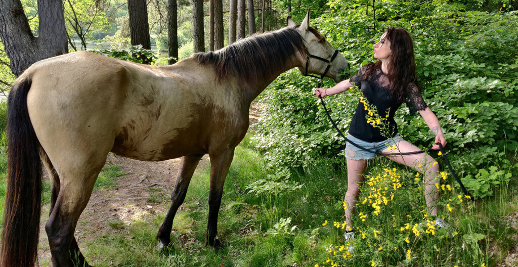 Dans les yeux de mon cheval