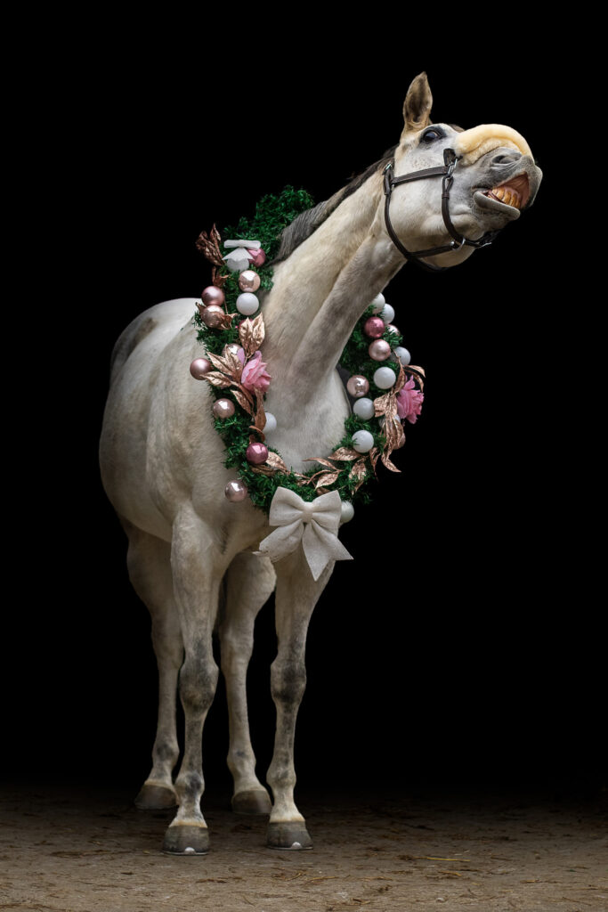 Isolente Noël fond noir