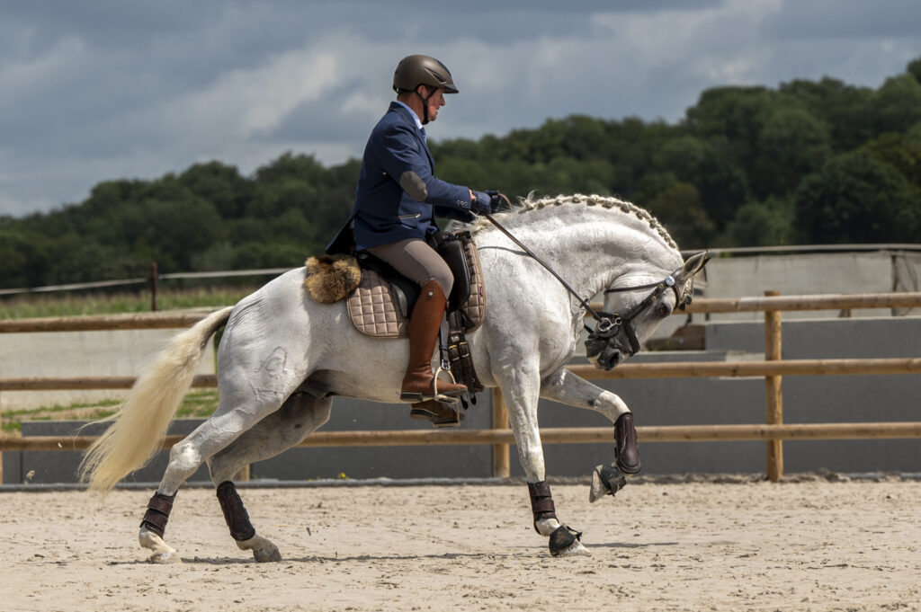 L'élégante puissance