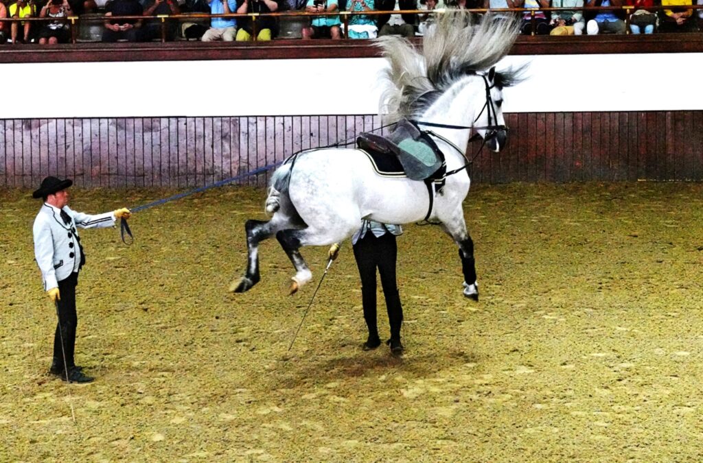 Jerez de la Frontera